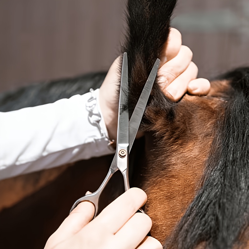 Grooming Kit Horse - Horse Grooming Tool Set Stainless Steel
