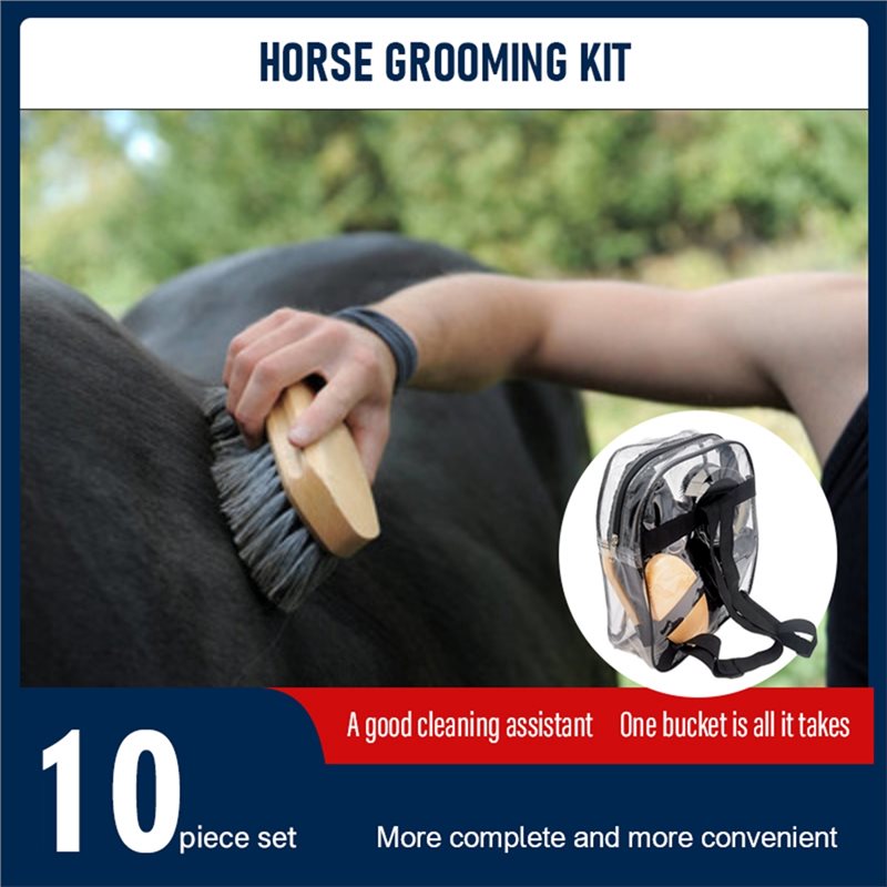 【SPECIAL】Equestrian For Horse  - огляд і ціна Grooming Kit Horse