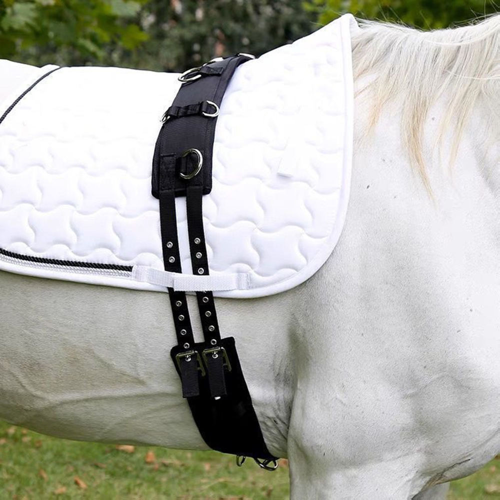 New Wear Resistant Conditionin - огляд і ціна Grooming Kit Horse