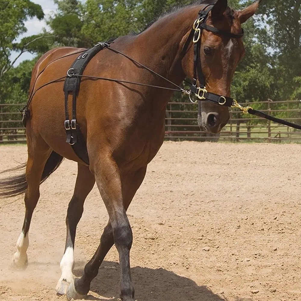 New Wear Resistant Conditionin - огляд і ціна Grooming Kit Horse
