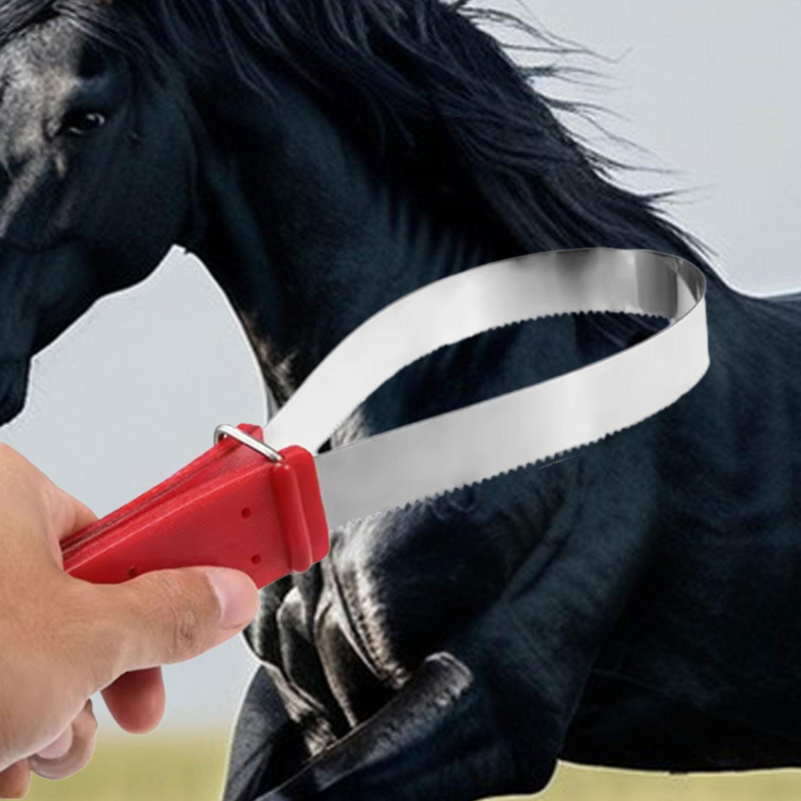 Practical Horse Hair Cleaning  - огляд і ціна Grooming Kit Horse