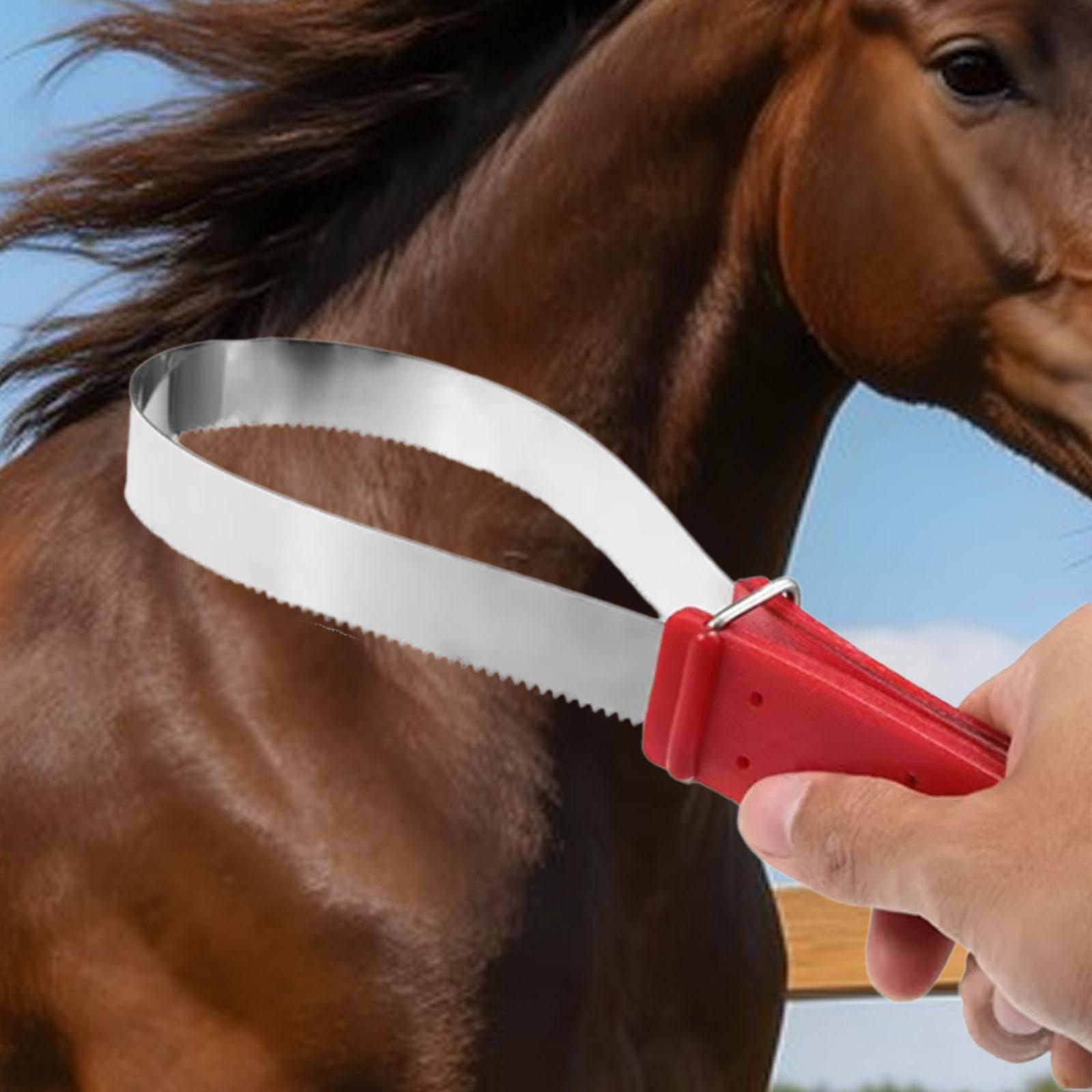 Practical Horse Hair Cleaning  - огляд і ціна Grooming Kit Horse